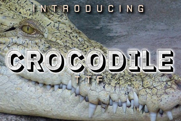 Crocodile: A Stylish 3D Typeface for Modern Design